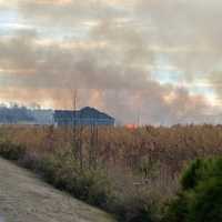 <p>The scene of the plane crash and brush fire in Suffolk</p>