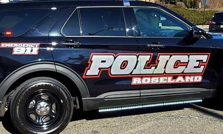 Police are investigating the cause of the crash that killed 70-year-old Christine Perrella of Caldwell in Roseland on Monday.