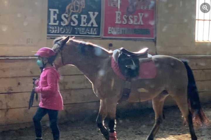 Hearts Break As North Jersey Equestrian Center Shutters