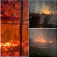 <p>Twenty goats were killed in the Garrett County fire.</p>