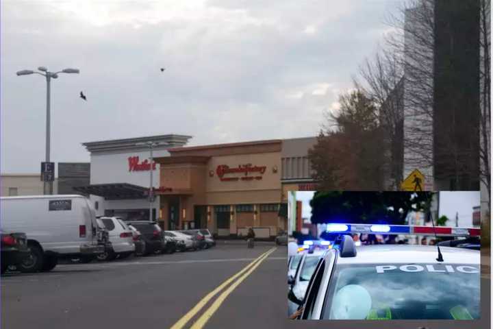 Shoplifter From Bridgeport Nabbed For Threatening Guard With Knife At Trumbull Mall, Police Say