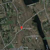 <p>The bear was spotted in New Canaan on North Wilton Road.</p>