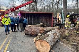 Truck Driver Airlifted After 90-Minute 'Technically Challenging' Rescue In Hunterdon County