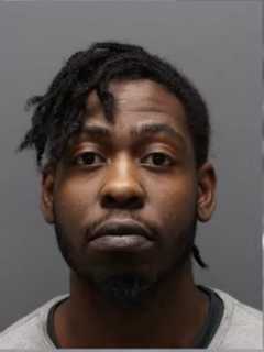 Dog Abuser Caught: Suspect Threw Pup Into Storefront Gate In Yonkers, Police Say