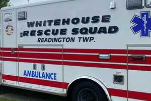 Man, 33, Dies After Tree-Cutting Accident In Hunterdon County