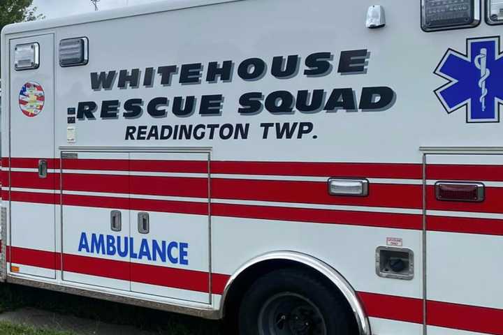 Man, 33, Dies After Tree-Cutting Accident In Hunterdon County