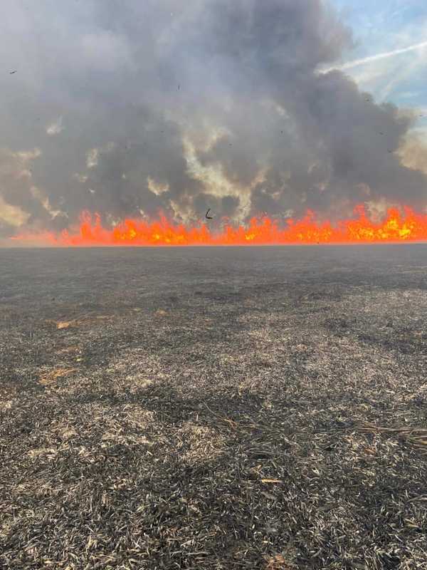 Firefighters Battle Massive Brush Fire In South Jersey