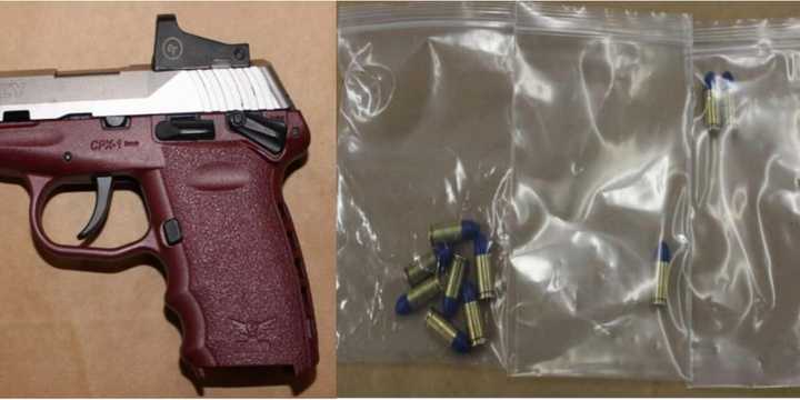 The loaded semi-automatic weapon seized during the stop.