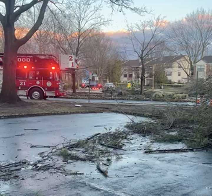 Storm damage in Lawrence Township.