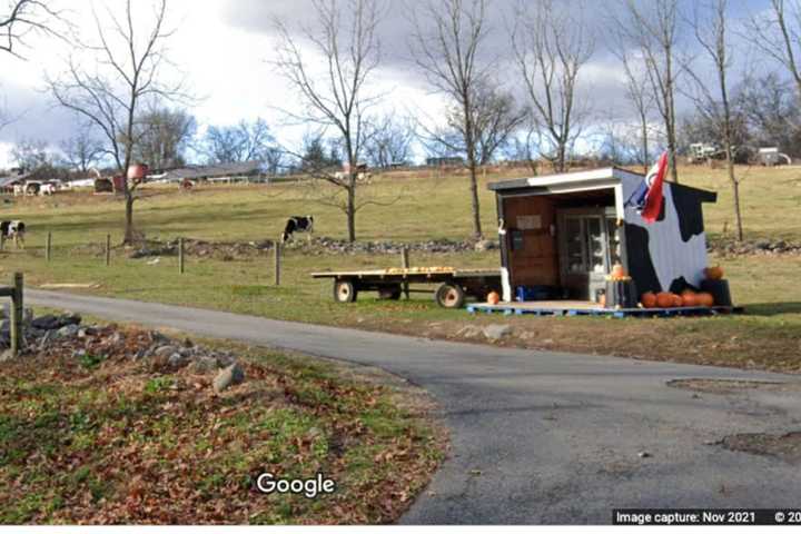 Dead Livestock, Poor Conditions Lead To Charges Against Warren County Man: Prosecutor