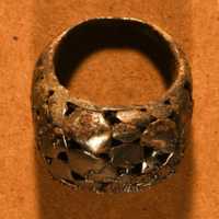 <p>Metallic ring</p>