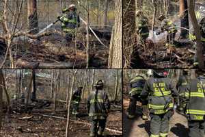 Firefighter Injured Containing 'Significant' Brush Fire At Rock Creek Park