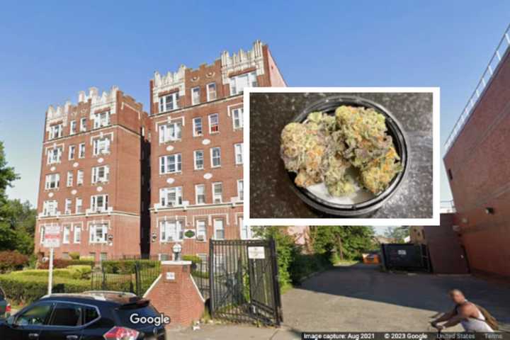 Pot Grow Operation Busted Near Jersey City School: Police