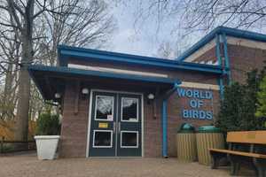 Cape May County Zoo Closes Bird Exhibit With Plans For New Aviary