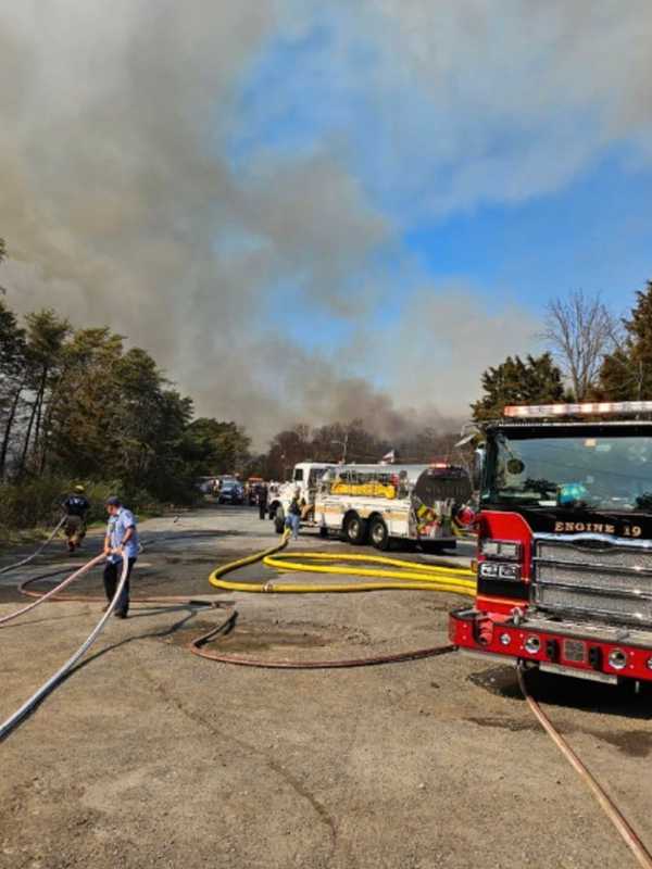 Officials Looking For Witnesses Of Soldiers Delight Park Fire