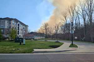 Eight-Alarm Fire Evacuates Dozens Of Homes Near Baltimore County Park (DEVELOPING)