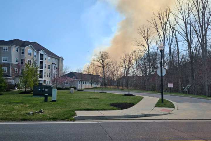 Eight-Alarm Fire Evacuates Dozens Of Homes Near Baltimore County Park (DEVELOPING)