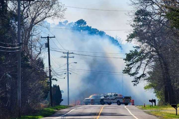 Wildfire Destroys 257 Acres In South Jersey, 85% Contained