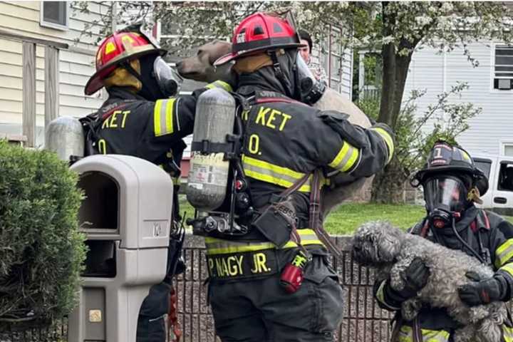 Dogs Woke Fire Victim But Home Destroyed In Central Jersey