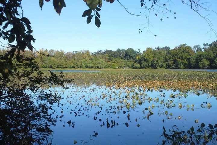 Park Ranger Billed Mercer County 298 Hours Of Work While At Home: Prosecutor