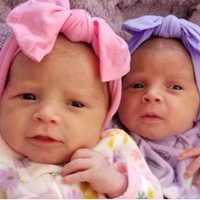 <p>Isabella Rose and Gianna Grace Abbate</p>