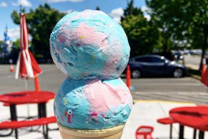 Best Ice Cream Shops In Northern VA