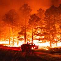 <p>Wildfire file photo</p>