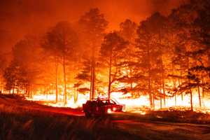 Wildfire Rips Through 300 Acres Of Wharton State Forest (UPDATED)