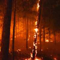 <p>Wildfire file photo</p>