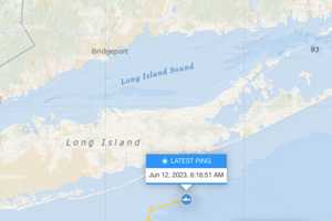 600-Pound White Shark Pings Off Long Island Coast
