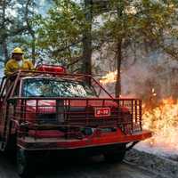 <p>Wildfire at the Brendan T. Byrne State Forest.</p>