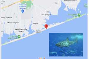 New Shark Attack: July 4th Beachgoer Hospitalized After Incident In Quogue