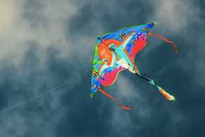 Kite Fight Crackdown: Fairfax County Puts Stop To Sharp-Stringed Game