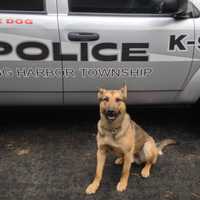 <p>Egg Harbor Township K9 Neiko died after a lot of health problems at the age of 11. (July 21)</p>