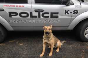 Loss Of Beloved K9 Neiko Mourned By South Jersey Police