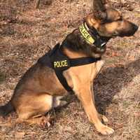 <p>K9 Neiko died at the age of 11</p>