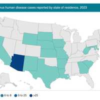 <p>There have been 69 reported human cases of West Nile virus this year nationwide with 43 cases in Arizona.</p>