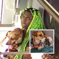 <p>Green-haired dog thief and Rocco on the train to NYC.</p>