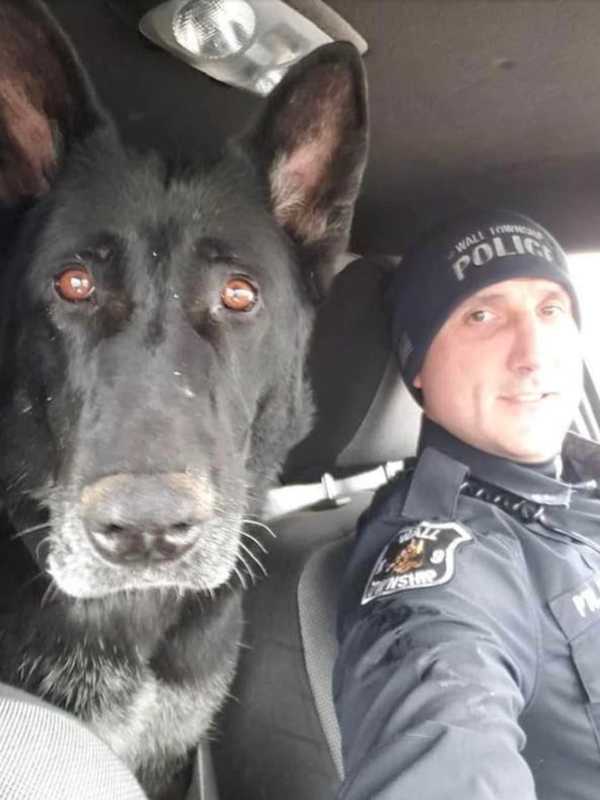 Death Of Beloved K9 Daza Mourned By Jersey Shore Police