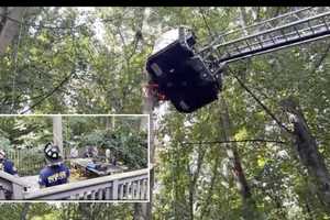 Tree-Cutter Hospitalized With Life-Threatening Injuries In Fairfax County