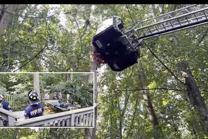 Tree-Cutter Hospitalized With Life-Threatening Injuries In Fairfax County