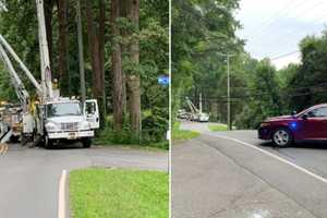 Downed Wires Shut Fairfax Roadway