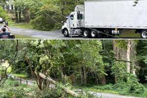 Deputy Feels Voltage Feet From Crash That Downed Live Wires In Stafford