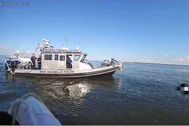 Man Rescued After Falling Overboard Off Rye Coast: Police