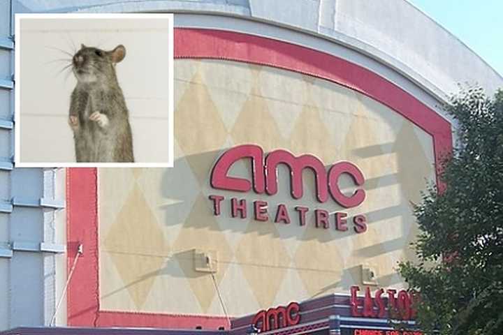 Rat Infestation Shuts AMC Newport Centre Theater