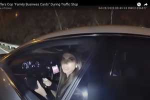 Teresa Giudice Offers Cop Family Business Cards In Maserati Traffic Stop On Route 287 (VIDEO)