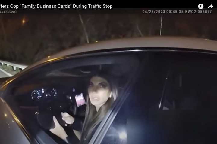 Teresa Giudice Offers Cop Family Business Cards In Maserati Traffic Stop On Route 287 (VIDEO)