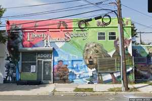 Jersey City Terminates Contract With Liberty Humane Society Citing Performance Concerns