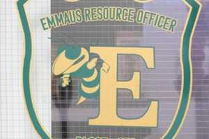 16-Year-Old Dead In Crash Near Emmaus High School: Coroner