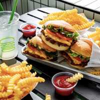 <p>Shake Shack</p>